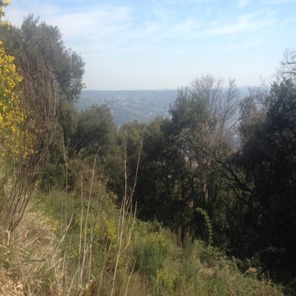 Offres de vente Terrain Grasse 06130